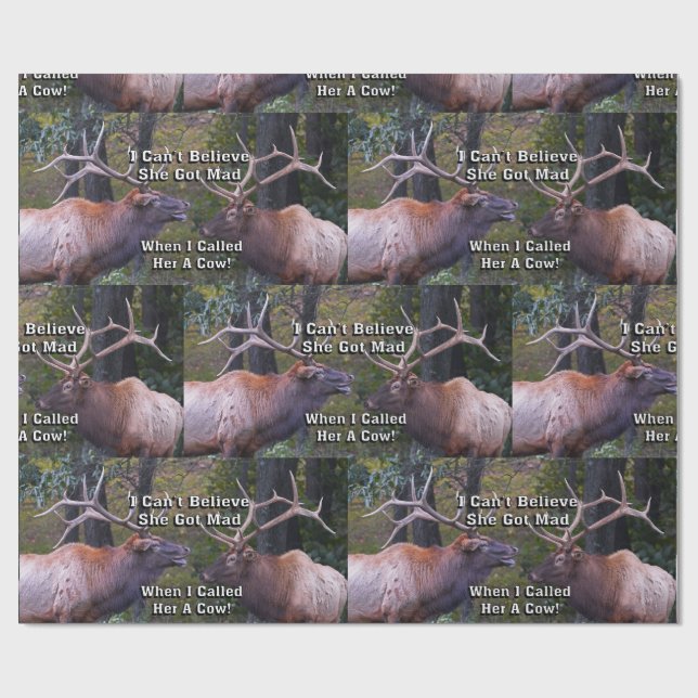 Roligt kan jag inte tro att hon fick tokigt presentpapper (Platt)