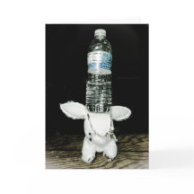 Roligt kaninfödelsedagkort. Var utöver det vanliga