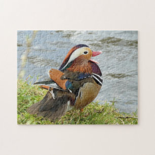 Roligt-kärleksfull Mandarin anka Pussel