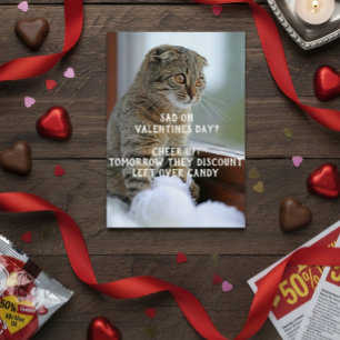 Roligt Katt Alla Hjärtans Dag Meme Singel Hälsningskort