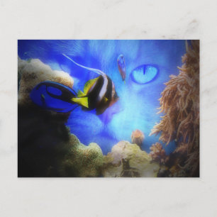 Roligt Katt- och fiskvykort Vykort