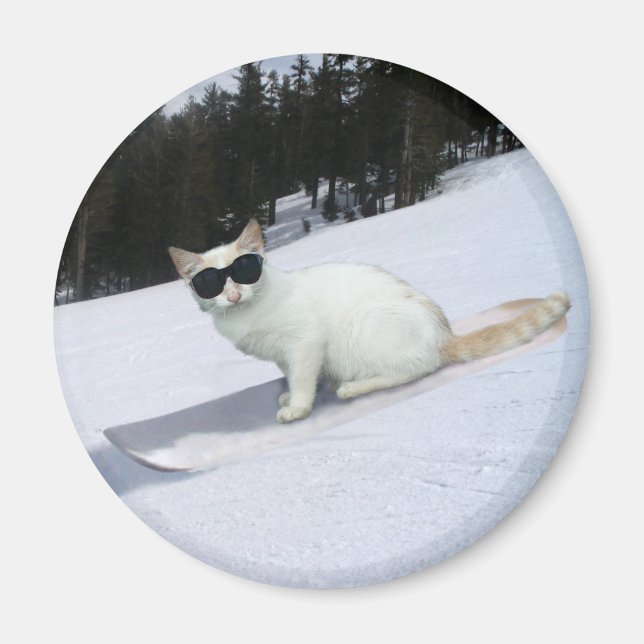Roligt Katt på ett snurrande magnet (Framsidan)