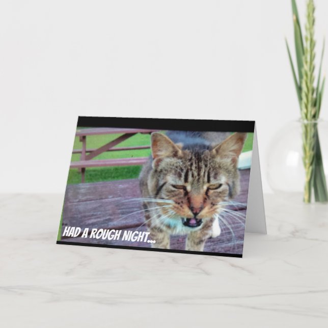 Roligt kattfödelsedagkort kort (Framsida)