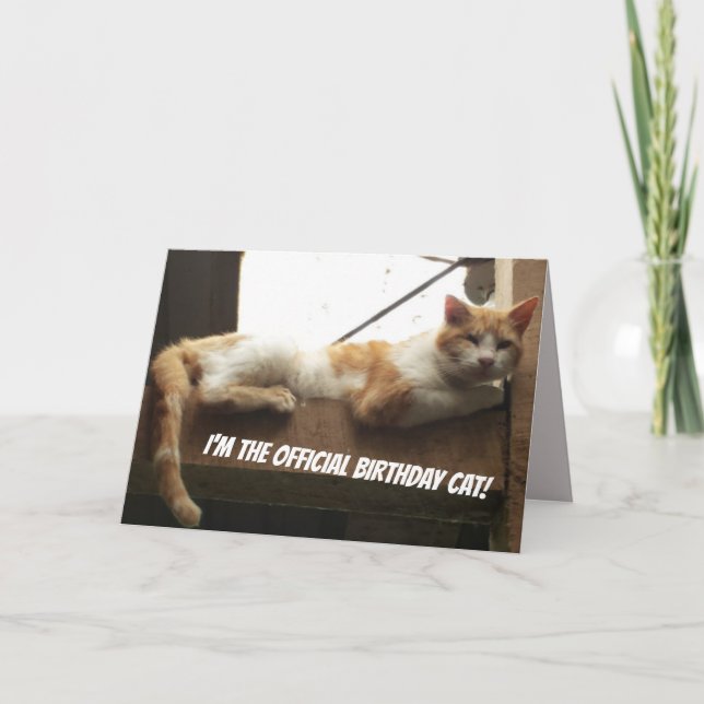 Roligt kattfödelsedagkort kort (Framsida)