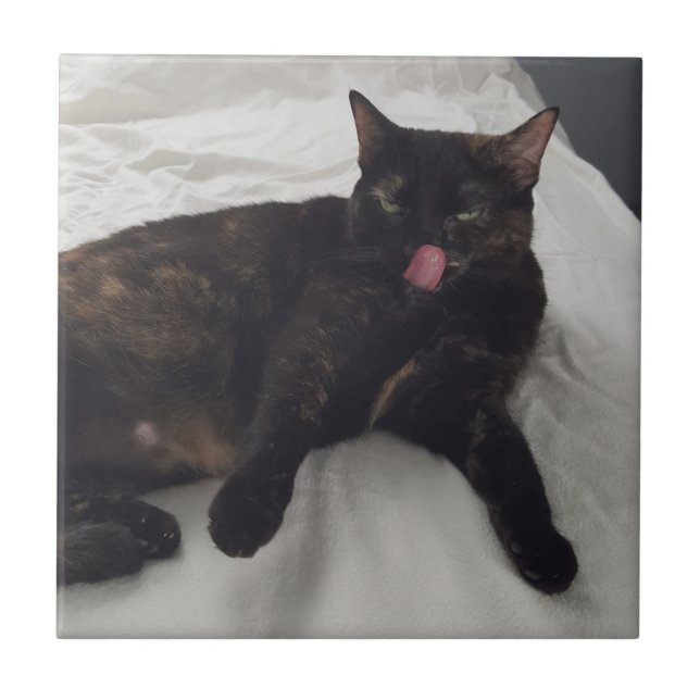 Roligt, kattfoto med tunga ut, plattor kakelplatta (Framsidan)