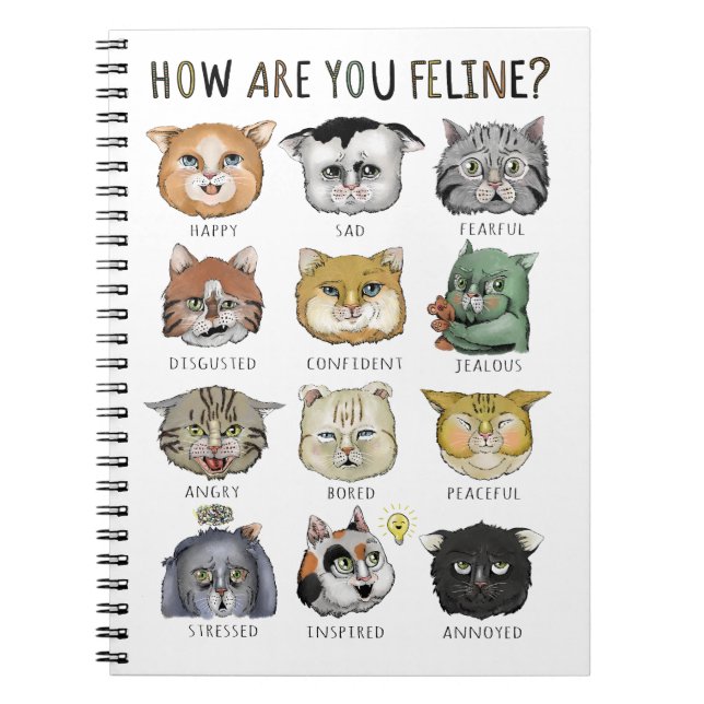 Roligt Kattkänslodiagram Hur Mår Du Katt? Anteckningsbok (Framsidan)