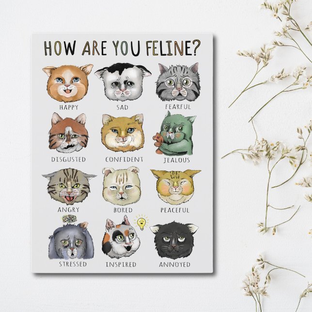 Roligt Kattkänslodiagram Hur Mår Du Katt? Vykort (Skapare uppladdad)