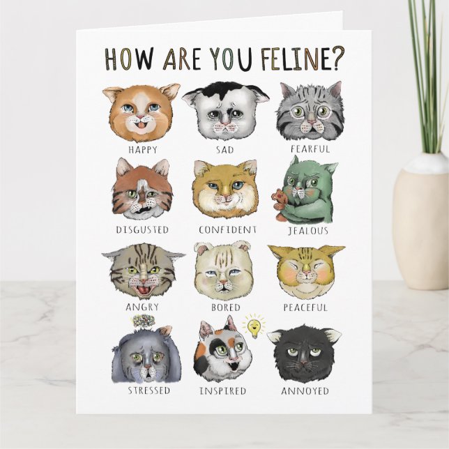 Roligt Kattkänslodiagram Hur Mår Du Kisse? Kort (Framsida)
