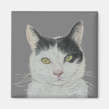 Roligt, kattmagnet