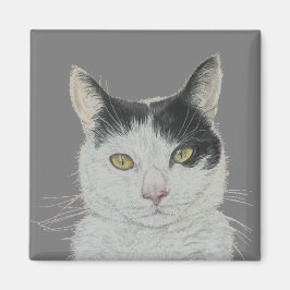 Roligt, kattmagnet magnet