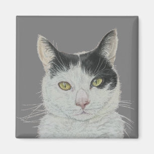 Roligt, kattmagnet magnet