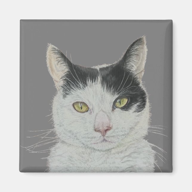 Roligt, kattmagnet magnet (Framsidan)