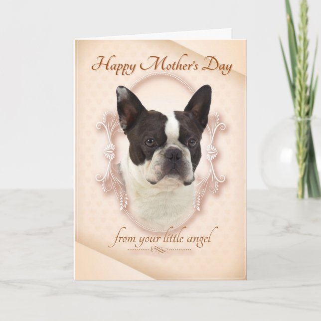 Roligt kort för Boston Terriermors dag (Framsida)