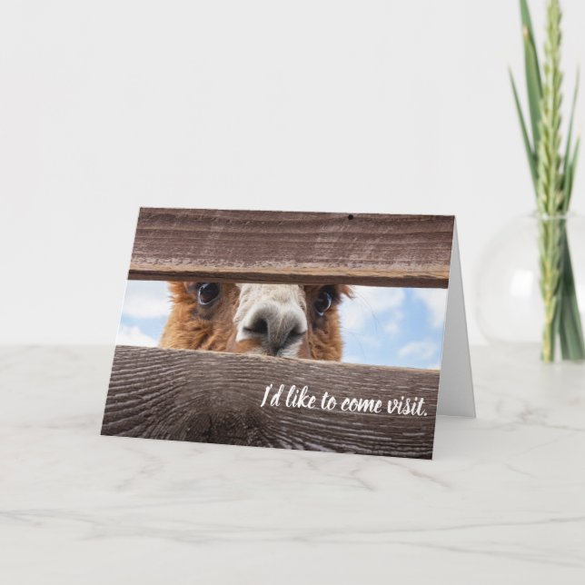 Roligt kort om att besöka dem. (Framsida)