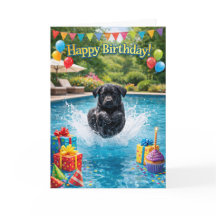 Roligt Labrador-valp poolsplash