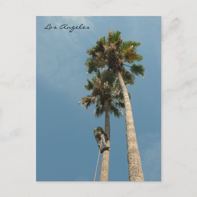 Roligt Los Angeles Postcard! Vykort (Framsida)