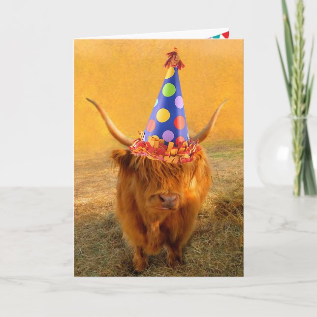 Roligt Loving Scottish Highland Steer Birthday Kort (Framsida)