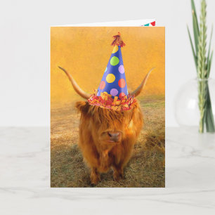 Roligt Loving Scottish Highland Steer Birthday Kort
