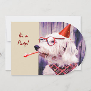 Roligt Lycklig Cute Hund Födelsedagsfest Hat Glass Inbjudningar