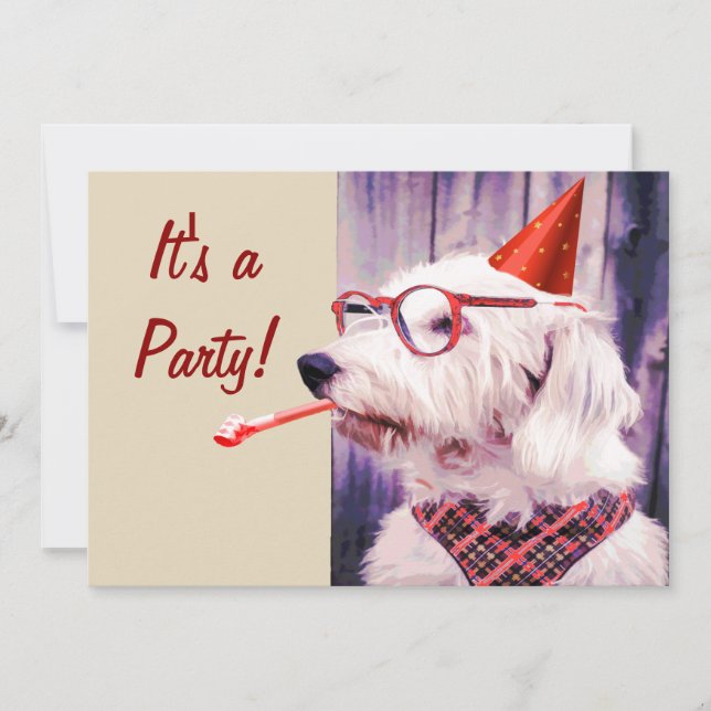 Roligt Lycklig Cute Hund som firar Party Hat-glase Inbjudningar (Framsida)