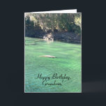 Roligt, Manatee, Bird, Butterfly, Grandson Birthda Kort<br><div class="desc">Det här är ett mycket unikt födelsedagskort för en barnson,  som är kärlek. Den har manat,  fågel och fjäril bilder. Roligt,  färgstarkt och glatt födelsedagskort för en speciell barnson.</div>