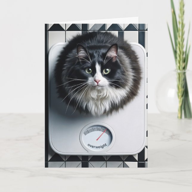 Roligt med viktnedgång Katt på våg Kort (Framsida)