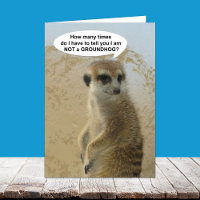 Roligt Meerkat Groundhog dagkort