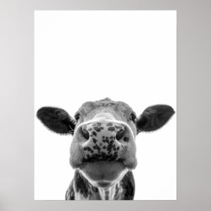 Roligt Modern Black White Cow Rustic Farmhouse Poster