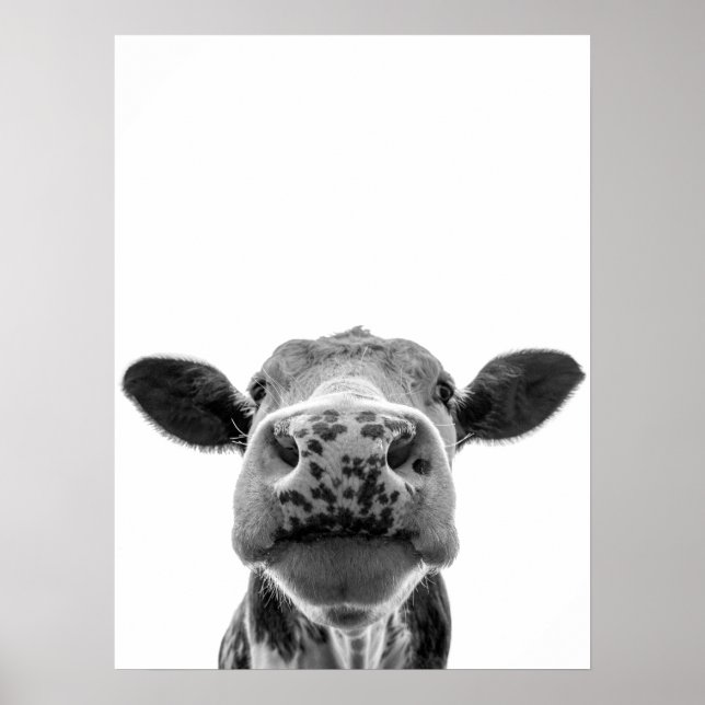 Roligt Modern Black White Cow Rustic Farmhouse Poster (Framsidan)