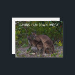 Roligt ner under Kangaroo Australia Vykort<br><div class="desc">Det är vårtid och kärlek ligger i luft. De här känguruerna håller med om att det är dags för en söt baby joey. Det här roliga kortet har ett känguru par som har underbar tid på Kangaroo Island i Sydauen. Skicka det här superskojet till alla dina vänner eller din familj...</div>