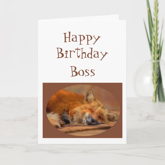 Roligt ’No Fox issued’ Chef Birthday Animal Humor Kort (Framsida)
