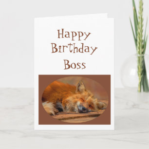 Roligt ’No Fox issued’ Chef Birthday Animal Humor Kort