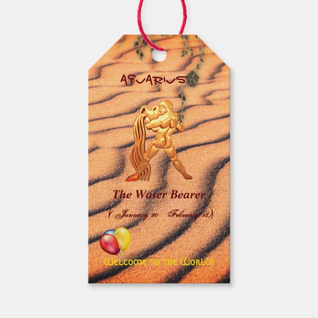 Roligt Nyfödd bebis Märkre av Aquarius Gift Presentetikett (Framsidan)
