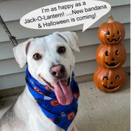 Roligt och Finare Halloween Hund Bandana