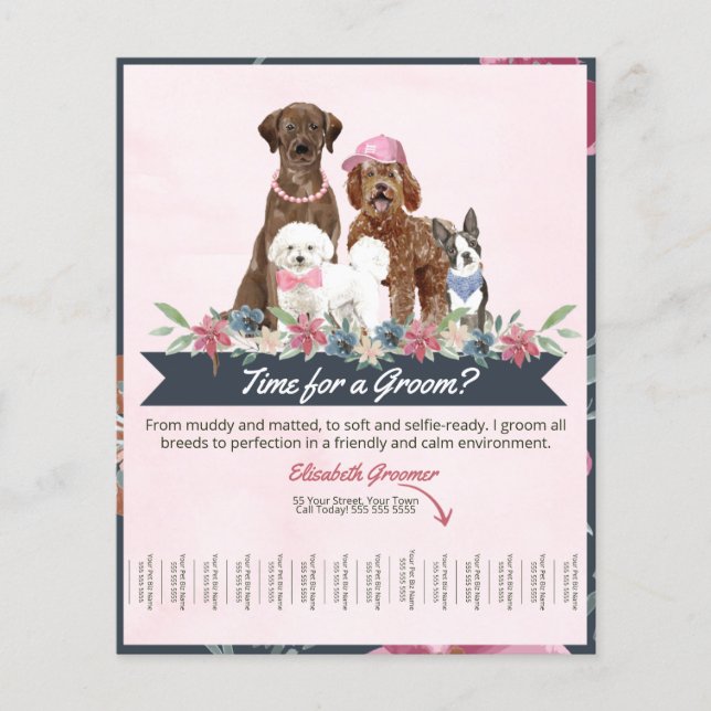 Roligt och rutt Hund med grooming Flyer med adabel (Framsidan)