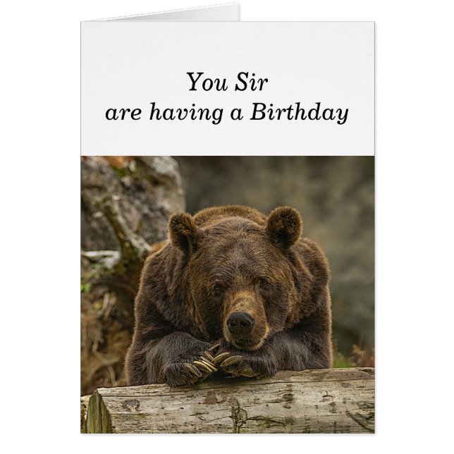 Roligt över Backe seriöst Tittar grizzlybjörn Hälsningskort (Framsidan)