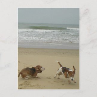 Roligt på stranden vykort