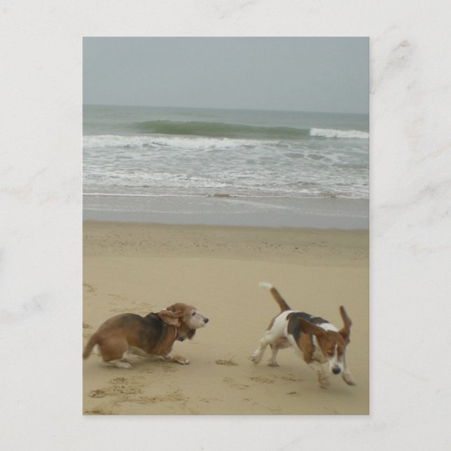 Roligt på stranden vykort (Framsida)