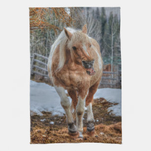 Roligt Palomino Paint Ranch Horse Animal-älskare P Kökshandduk