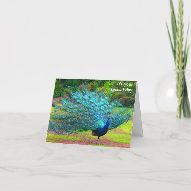 Roligt Peacock Birthday Card Kort (Framsida)