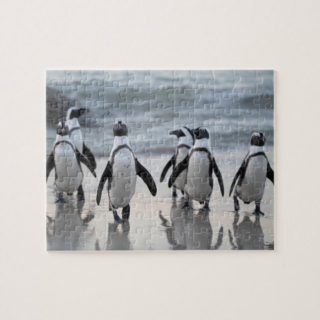 Roligt Penguin Bird Wildlife Nature Art Pussel (Horisontell)