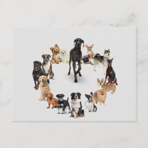 Roligt Pet Animals Large Clock Pocket Watch Vykort