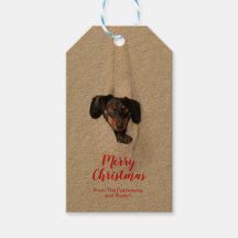 Roligt Pet Family Puppy Hund-julfoto