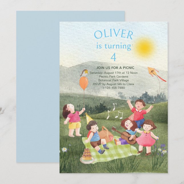 Roligt Picnic Birthday Boy Garden Party-inbjudan Inbjudningar (Fram/baksida)