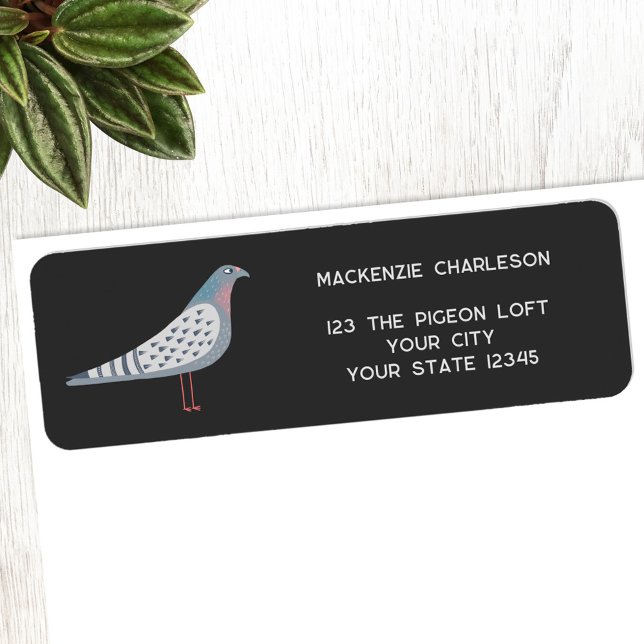 Roligt Pigeon Bird Returadress Etikett (Fun pigeon bird return address labels)