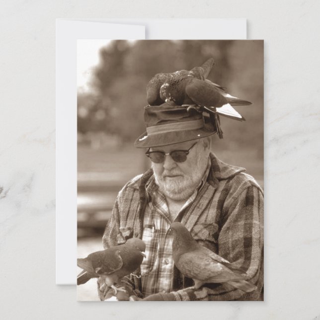 Roligt Pigeons Birds Man jag har Flyttat meddeland Meddelande (Framsida)