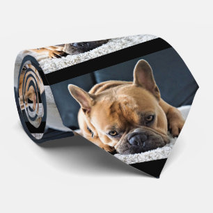 Roligt Querky Cute Fransk Bulldog Tie Slips