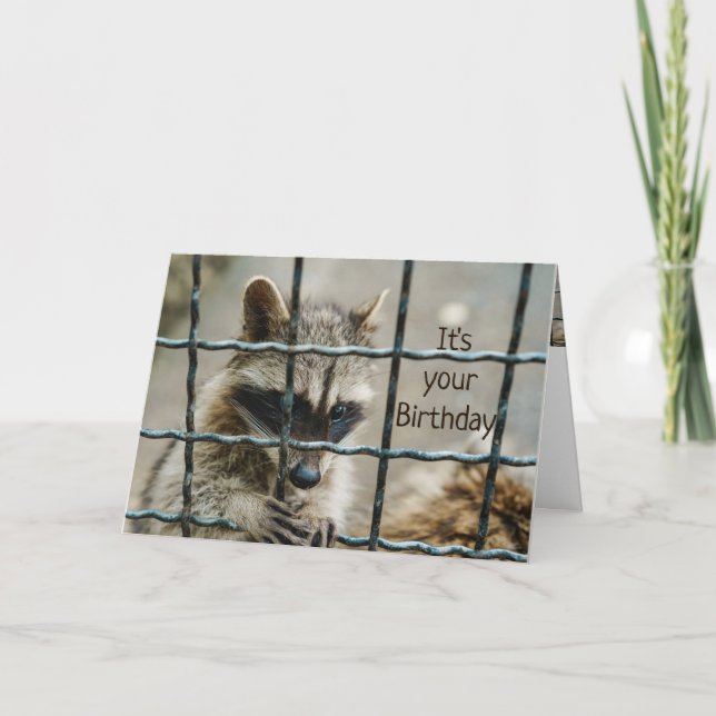 Roligt Raccoon du fångade mitt hjärta Kärlek du Kort (Framsida)