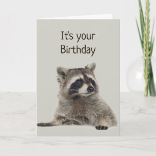 Roligt Raccoon har inte pengar till Gift Kort