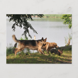 Roligt, roligt, roligt! vykort